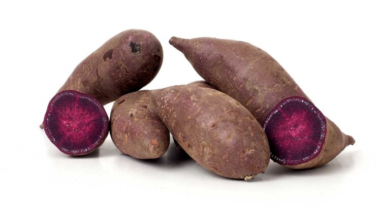 Sweetpotato Varieties | Sweetpotato and Potato Breeding and Genetics ...