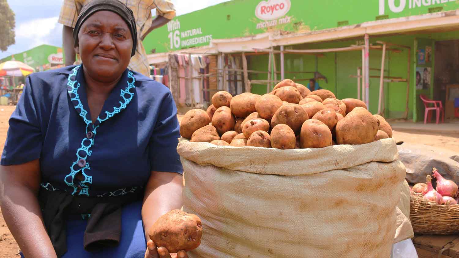 Sub-Sahara African Sweetpotatoes