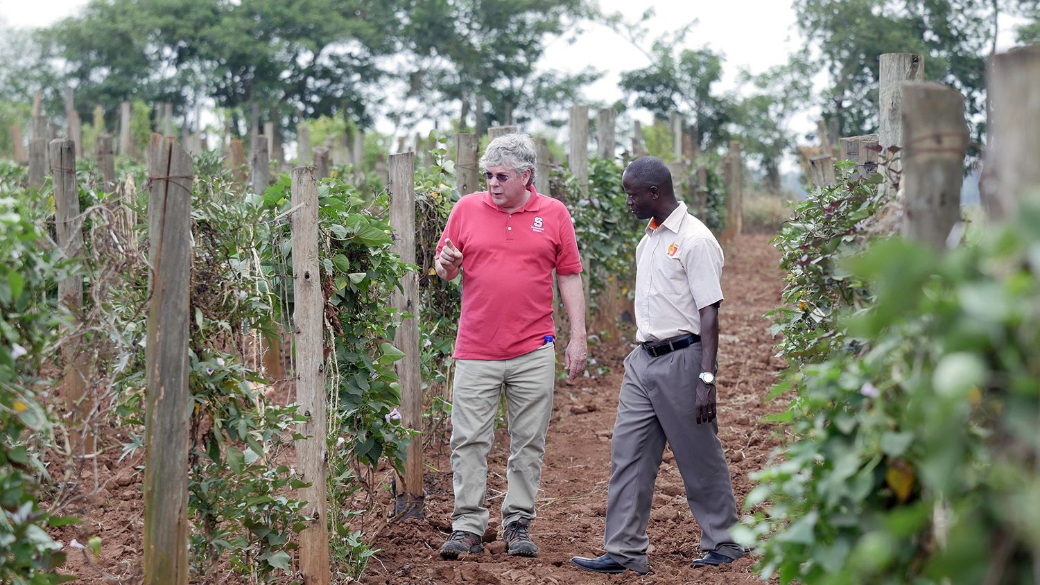 Craig Yench with Bernard Yada at sweetpotato research farm